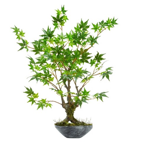 2' Ficus Bonsai Artificial Tree in Decorative Planter