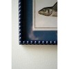 Framed Wall Art, Fish Prints Under Glass 12.5"H – Navy Framed Coastal, Set of Two by Kalalou - 3 of 3