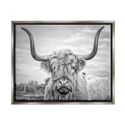 Stupell Industries Black and White Highland Cow Photograph