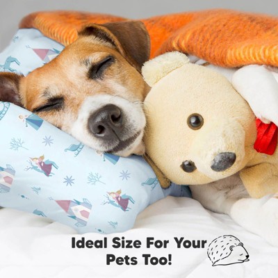 Enchanted Frost Hypoallergenic Polyester Toddler Pillow with Pillowcase