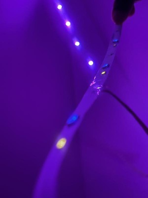 Guest review image 1 of 1, zoom in