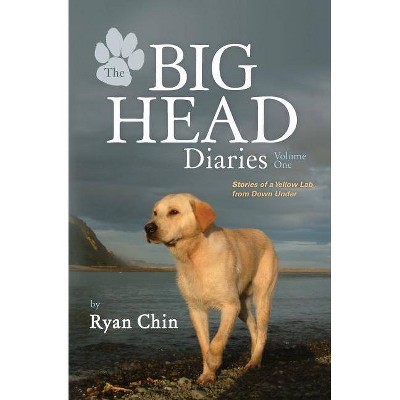 The Big Head Diaries, Volume 1 - by  Ryan Chin (Paperback)