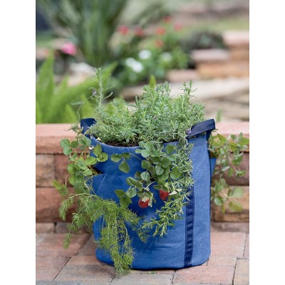 Gardener’s Best® Strawberry and Herb Grow Bag - Gardener's Supply Company