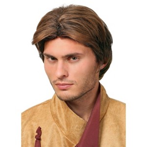 HalloweenCostumes.com  Men  Men's Brown Wig, Brown - 1 of 2