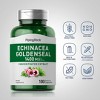 Piping Rock Echinacea & Goldenseal Root 1400mg | 180 Capsules - 3 of 4