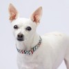 Country Brook Petz Premium Dog Collar - Chevron and Arrows Collection - 2 of 4