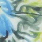 bluebird