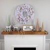 Northlight Icy White Iridescent Spruce Artificial Christmas Wreath, 24-Inch, Unlit - 2 of 4