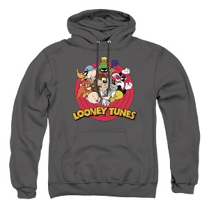 Looney Tunes Smaller Group Adult Pull-Over Hoodie - 1 of 4
