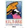 Trends International Netflix Outer Banks: Season 4 - Male Kildare Island Surfboard Co. Unframed Wall Poster Prints - 4 of 4