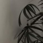 26*38" hemming black