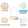 Unique Bargains Wooden Base Plants Home Decor Glass Bell Jar Display Case - 3 of 4
