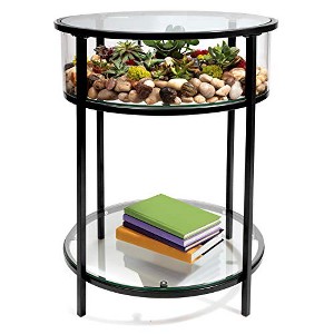 D'Eco Round Terrarium Display End Table w Reinforced Glass in Black Iron - 20"x20x26.5" Height- Indoor Decor for Home or Office- Gift for Plant Lovers - 1 of 1