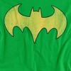 Men's DC Batgirl Logo Distressed T-Shirt - 2 of 4