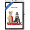 Trends International DC Comics Movie DC League of Super-Pets - Krypto and Ace Framed Wall Poster Prints - 3 of 4