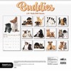 Trends International 2026 Buddies 12"x12" Wall Calendar - 4 of 4