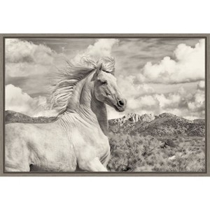Amanti Art Free to Run by PHBurchett Framed Canvas Wall Art - 1 of 4