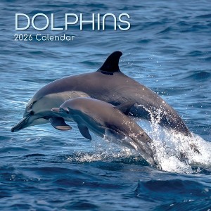 2026 Square Wall Calendar, Dolphins, 16-Month Animals Theme with 180 Reminder Stickers (12x12 In) - 1 of 4