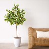 HomeStock  5 ft. Artificial Tree in Pot for Indoor/Outdoor - 4 of 4