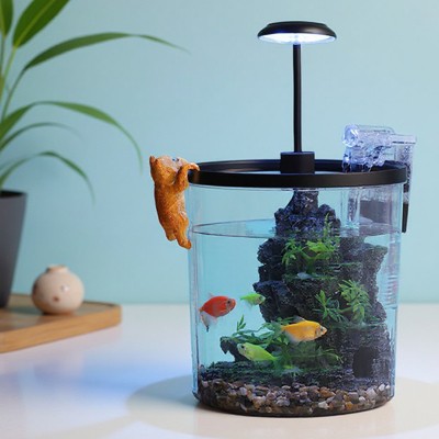 Small Fish Tank, 1.3 Gallon Tall Aquarium with Filter and Light, Ultra Clear Goldfish Aquarium Starter Kit