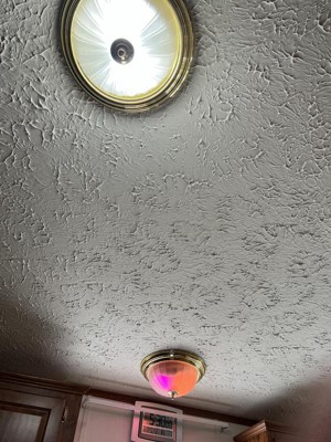 Guest review image 1 of 3, zoom in