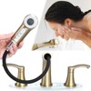 PROOX 8 in. Widespread Double Handle Bathroom Faucet  with Pull Out Sprayer - 4 of 4