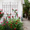 Metal Garden Trellis, 71" X 17" Metal Trellises For Climbing Plants, Garden Trellis Climbing Plants, Garden Trellis Modern-Cuddlewood - 2 of 4