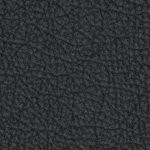 minnesota golden gophers