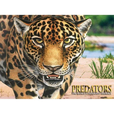 Predators - by  Paula Hammond (Hardcover)