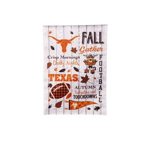 Evergreen University of Texas Garden Flag 12 x 18 Inches Indoor Outdoor Decor - 1 of 1