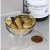 Swanson Herbal Supplements Full Spectrum Mangosteen 500 mg 100 Caps. - 2 of 2