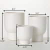 Sullivans 5", 7.5" & 8.25" Contoured Platform Planters Set of 3, White - 4 of 4