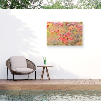 Trademark Fine Art - Beata Czyzowska Young Falltime In My Garden Matted Framed Art
