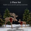 Best Choice Products 2-Piece Moose Family Lighted Christmas Yard Décor Set w/ 170 LED Lights, Stakes, Zip Ties - 2 of 4