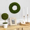 Northlight 13.7" Reindeer Moss Artificial Floral Spring Wreath - Unlit - 3 of 4