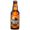 Empyrean Burning Skye Scottish Style Beer - 6pk/12 fl oz Bottles - 2 of 2