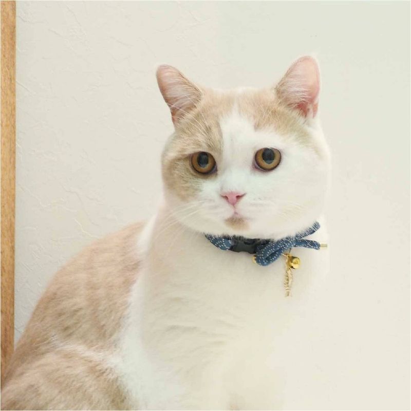 Necoichi Zen Fish Charm Cat Collar, 4 of 15