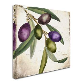 Trademark Fine Art -Color Bakery 'Olive Branch I' Canvas Art