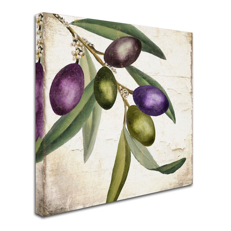 Trademark Fine Art -Color Bakery 'Olive Branch I' Canvas Art, 1 of 4