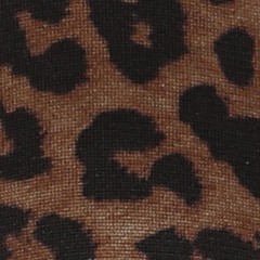 brown leopard