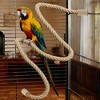 Unique Bargains Bird Rope Perch for Parrots Brown 1 Pc - 2 of 4