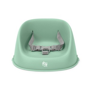 Ity by Ingenuity My Spot Easy-Clean Baby Booster Seat Feeding Chair - 1 of 4