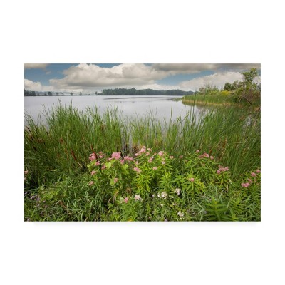 12" x 19" St. Joseph River Centreville Michigan by Monte Nagler - Trademark Fine Art
