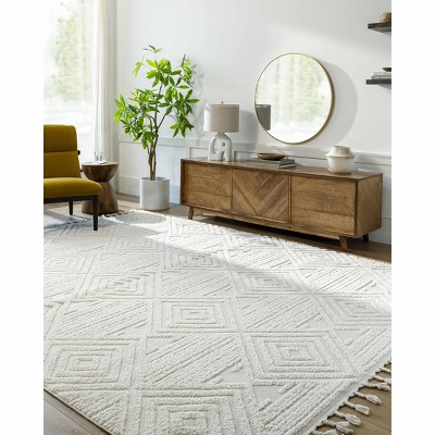 Hauteloom Manyas 3D Bone Area Rug with Tassels