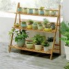 3 Tier Heavy Duty Bamboo Plant Stand Foldable Corner Planter Indoor Flower Pots Display Rack for Outdoor Garden Balcony & Patio - 3 of 4