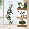 Whizmax 5/6/7ft Artificial Magnolia Tree realistic Faux Plant with Adjustable Branches, Elegant Blooms, Easy to Assemble for Home & Office Décor - 4 of 4