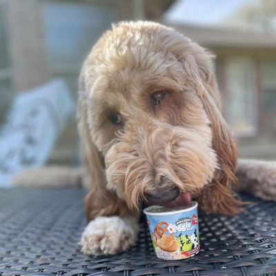 Ice cream for outlet dogs target