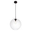 Elegant Lighting Placido Collection Pendant D15.7 H16.5 Lt:1 Black and Clear Finish - 3 of 4