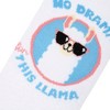 Cool Socks, Cute, Funny Sarcastic Word Sayings, Fun Novelty Gift Crew Socks - 4 of 4