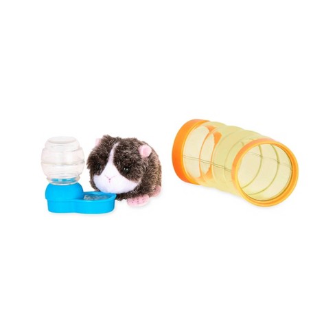 Guinea Pig Supplies, Accessories & Toys